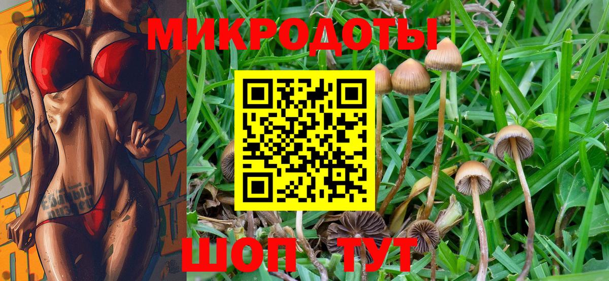 Галлюциногенные грибы прущие грибы Северобайкальск