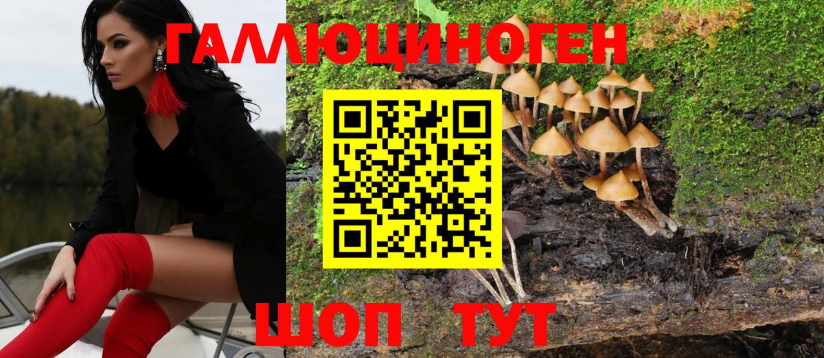 купить наркотик  Вход с VPN  Псилоцибиновые грибы Psilocybe  Северобайкальск  Галлюциногенные грибы Cubensis 